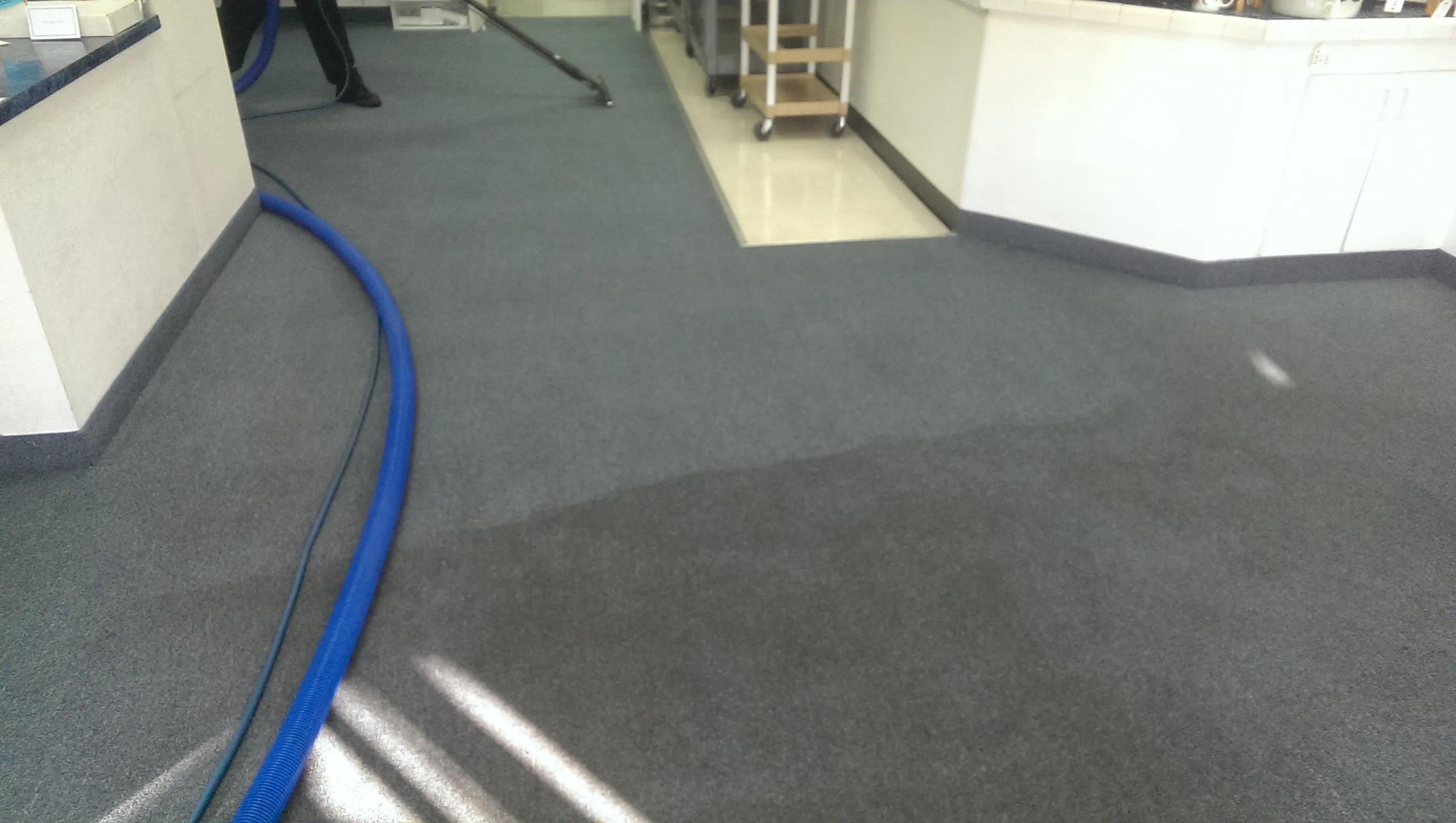 Office carpet cleaning in progress Las Vegas