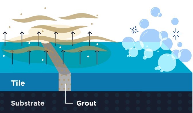 SaniGLAZE Step 1: Deep Cleaning & Extraction